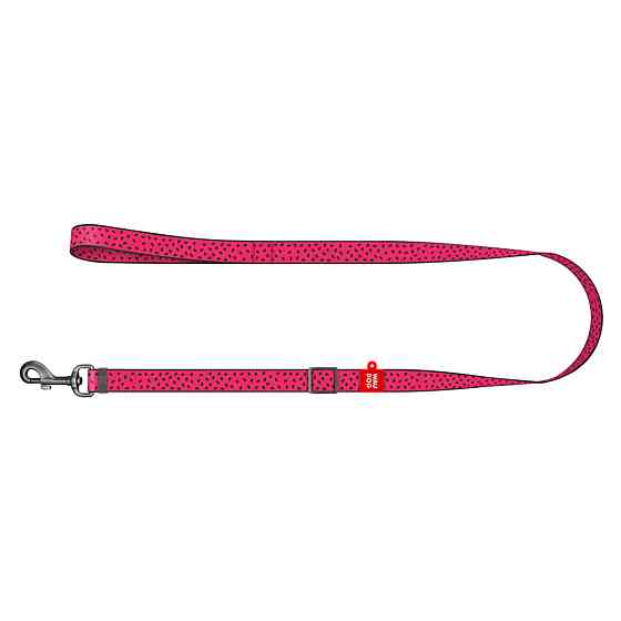 Поводок для собак нейлоновый WAUDOG Nylon, рисунок 