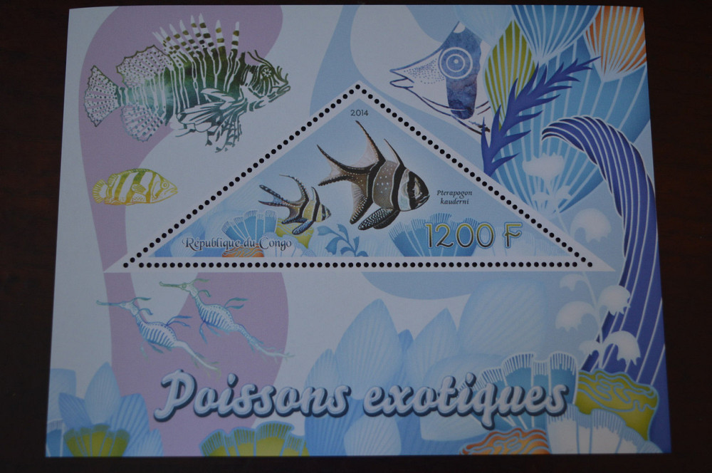 Конго. Фауна. Личности. Блок. 2014 р. (А-34) Полтава - фото 1