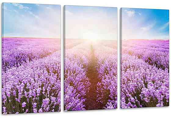 Модульная картина Поле Лаванда Аrt-184_3А Киев