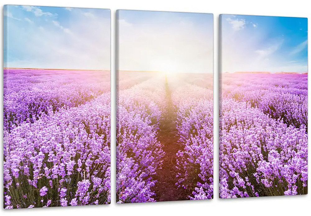Модульна картина Полі Лаванда Аrt-184_3А Київ - фото 1