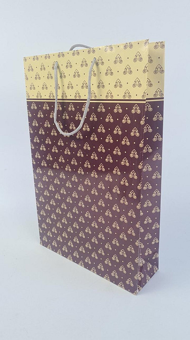 Великий паперовий пакет вертикальний 25/37/8 (артBV-044) (12 шт.) Харків - фото 1