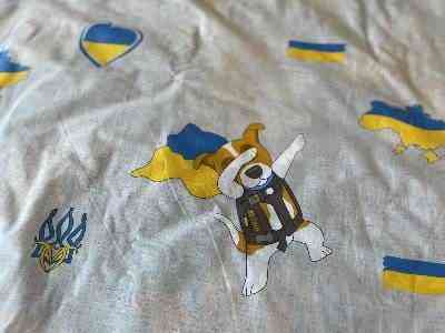 Ecotton Комплект постільної білизни Ecotton полуторний 150х215 см Пес Патрон бежевий Киев