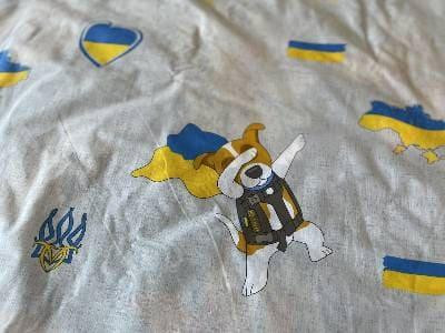 Ecotton Комплект постільної білизни Ecotton полуторний 150х215 см Пес Патрон бежевий Київ - фото 6