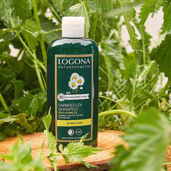 БІО-Шампунь для фарбованого світлого волосся Ромашка Logona 250 мл Київ