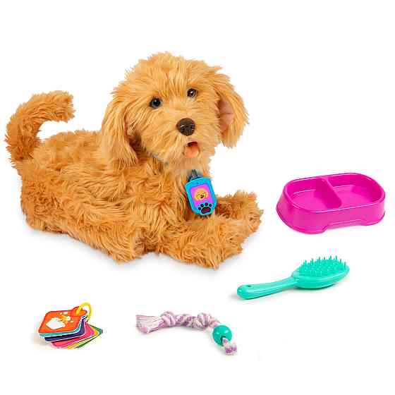 Інтерактивна іграшка – Лабрадудель Moji (укр. - анг.) Дніпро