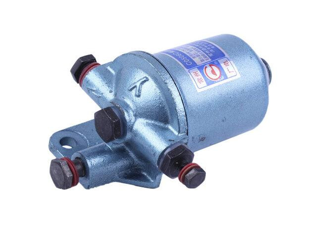 Фільтр паливний у зборі DL190-12 Мукачево - фото 1