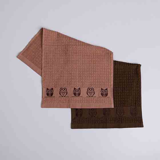 Набор кухонных махровых полотенец 2шт GM Textile 30x50см, 30x50см Совы 400г/м2 (Бежевый/Коричневый) Сумы