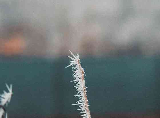 Фотоаппарат Nikon D3100 только Тушка. Киев