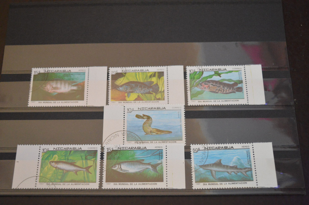 Марки. Серия. Никарагуа (гаш.) Полтава - изображение 1