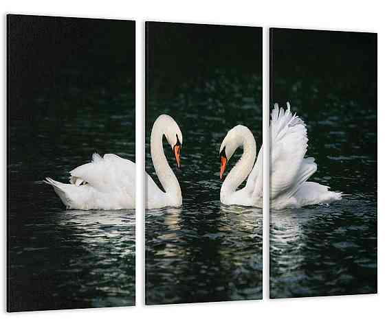 Модульна картина Лебеді Озеро Art-182_XXL Київ