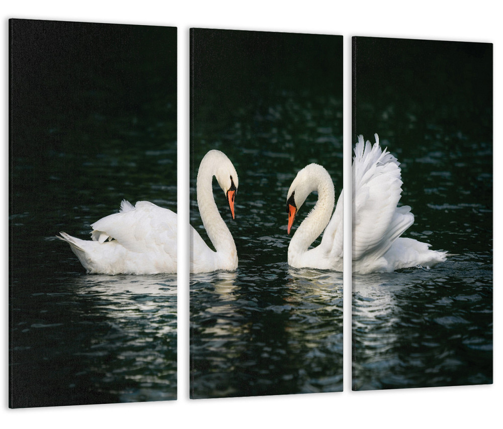 Модульна картина Лебеді Озеро Art-182_XXL Київ - фото 1
