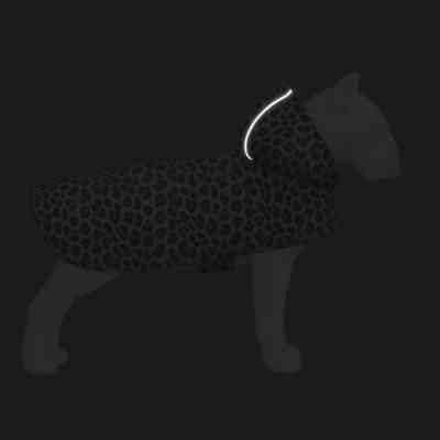 Дождевик для животных WAUDOG Clothes Накидка с капюшоном Леопард XXS (354-4066) Винница