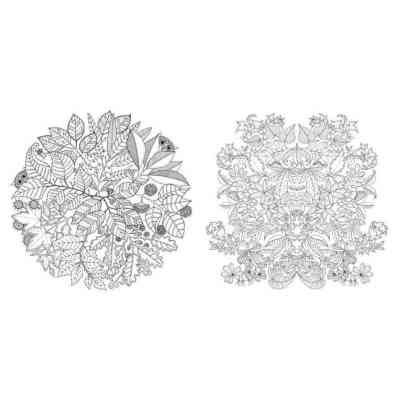 Книга Чарівний сад - Джоанна Басфорд Видавництво Старого Лева (9786176790808) Вінниця