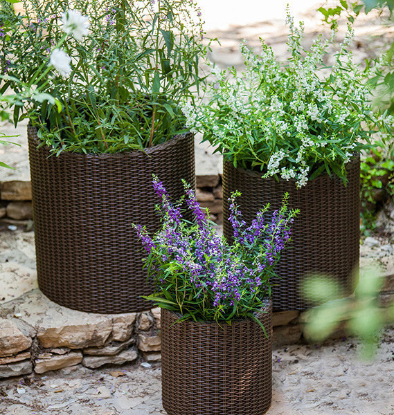 Горщик для квітів Keter 7 л. Cylinder Planter Small, коричневий Київ - фото 7