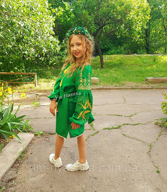 Дитяча вишита сукня з ластівками 104-152 Кривий Ріг - фото 4
