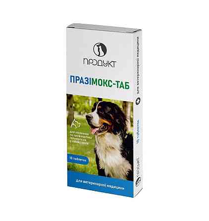 ПРАЗІМОКС-ТАБ (10 таблеток) Продукт Вінниця