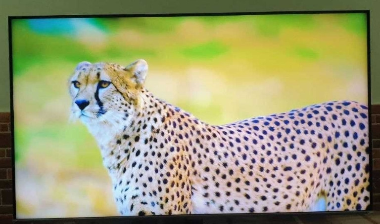 Телевизор Безрамный: 50