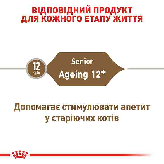 Вологий корм для літніх котів ROYAL CANIN AGEING 12+(від 12 років) 0.085 кг Київ