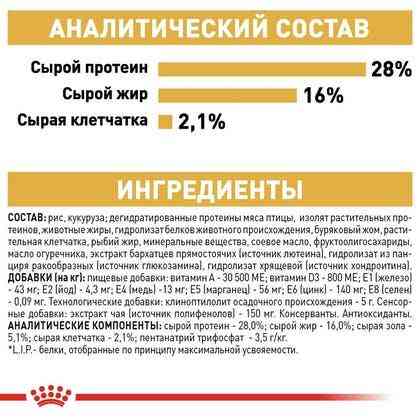 Royal Canin Chihuahua Adult (Роял Канін Чихуахуа Едалт) сухий корм для собак породи чихуахуа від 8 місяців Запоріжжя