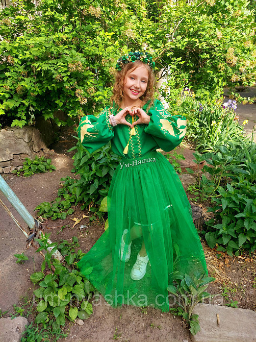 Дитяча вишита сукня з ластівками 104-152 Кривий Ріг - фото 7