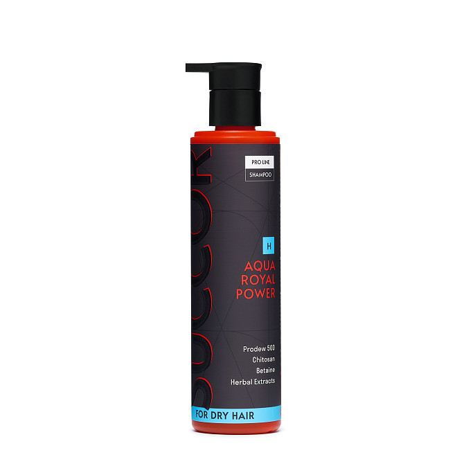 Зволожуючий шампунь для сухого волосся Aqua Royal Power Shampoo Succor 250 мл Вінниця - фото 1