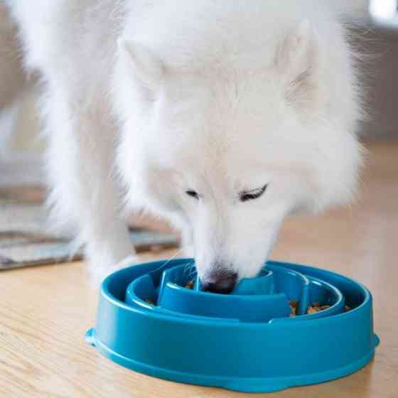 Миска лабиринт для медленного кормления собак Outward Hound Fun Feeder Drop (Аутвард Хаунд Фан Фидер Дроп) Запорожье
