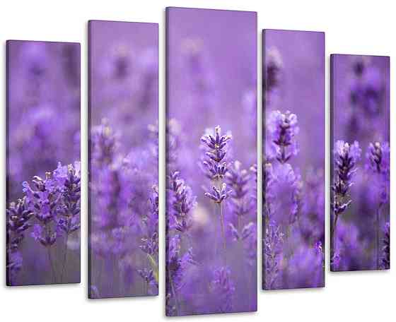 Модульная картина в гостиную / спальню Ароматная Лаванда Art-439_5 ( 80х118см ) 99x140 см Киев