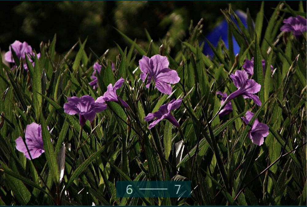 Фотоаппарат: Fujifilm FinePix S1500. Харьков - изображение 7