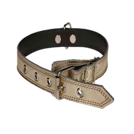 Нашийник 3221 25мм "Перламутр" шкіряний подвійний Золотий Вінниця