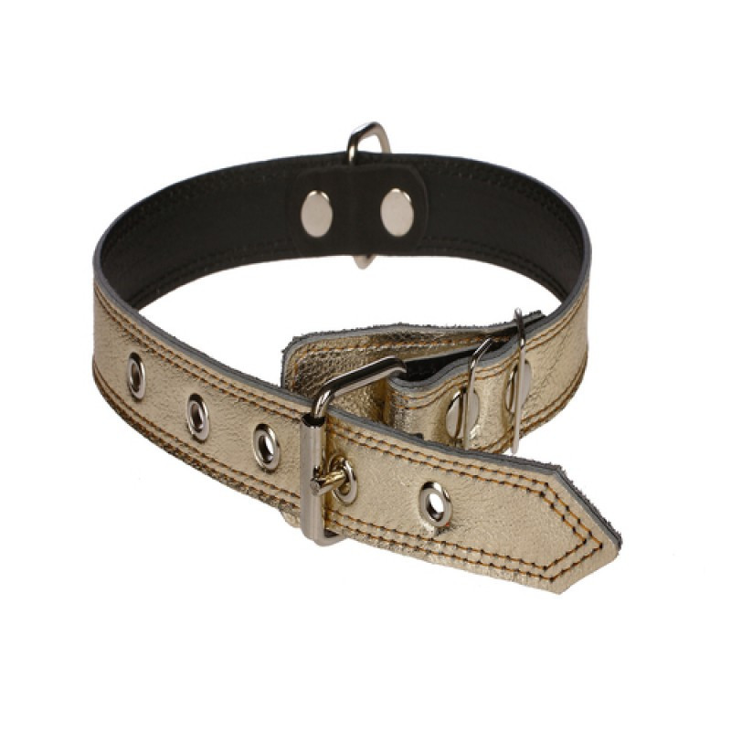 Нашийник 3221 25мм "Перламутр" шкіряний подвійний Золотий Вінниця - фото 1
