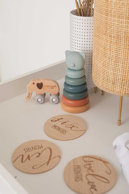 Силиконовый сортер FreeON Башня медвежонок, multicolour Киев - изображение 8