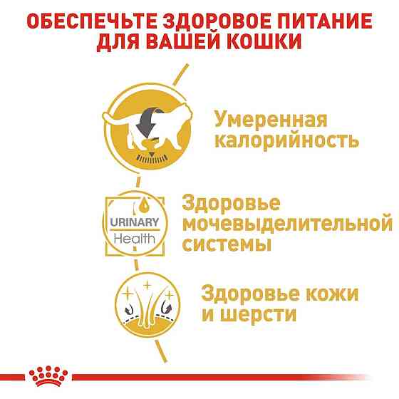Royal Canin British Shorthair (Роял Канін Брітіш Шортхейр) вологий корм для кішок британська короткошерста 0.085 кг. х 12 шт. Запоріжжя