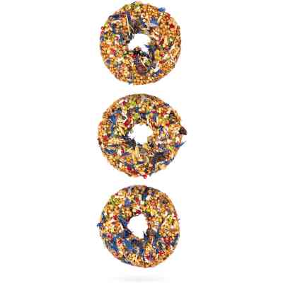 Вітаміни для птахів Special One Пончики «Барбарис, волошка, кокос» 60 г (4823082425167) Вінниця