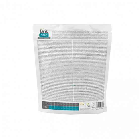 Сухой корм Brit Care Dog Grain-free Adult для собак малых и средних пород, беззерновой с лососем, 1 кг Винница