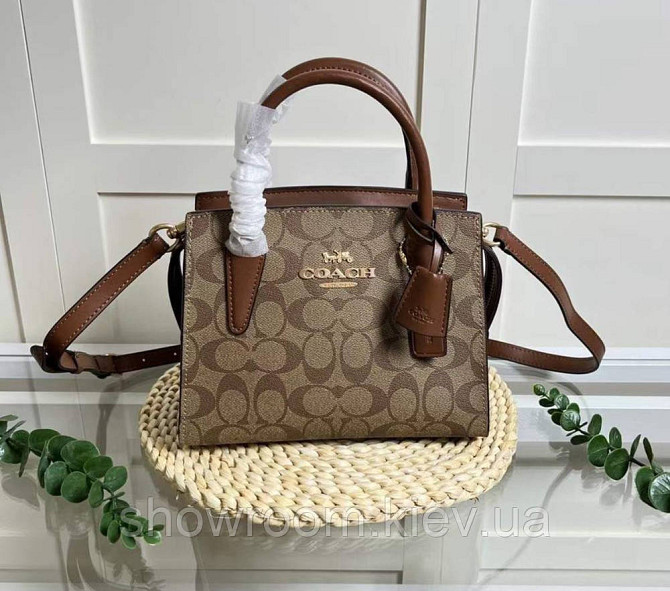 Брендовая женская сумочка Coach Andrea коричневая Киев - изображение 1
