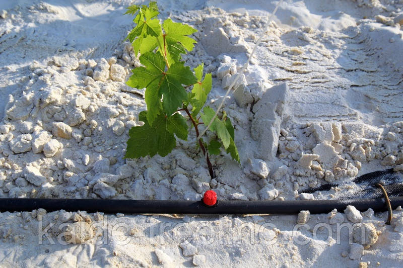 Крапельниця садова Presto-PS регульована 0-70 л/год (AOD-0170) Харьков - изображение 7