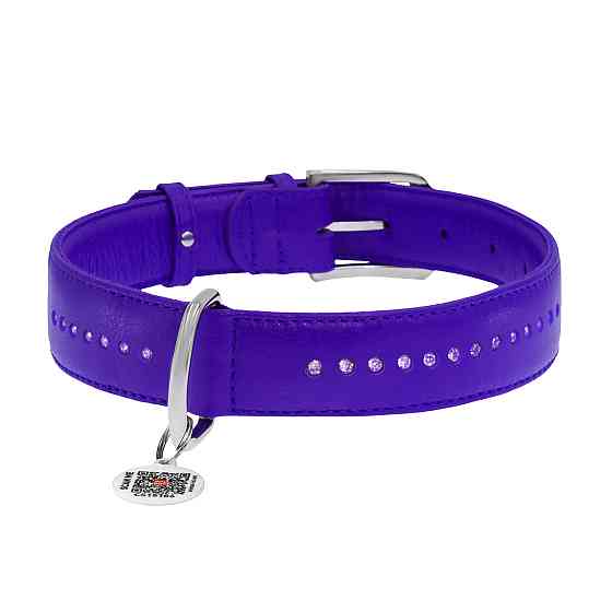 Нашийник для собак шкіряний WAUDOG Glamour з QR паспортом, подвійний зі стразами, L, Ш 25 мм, Д Коломыя