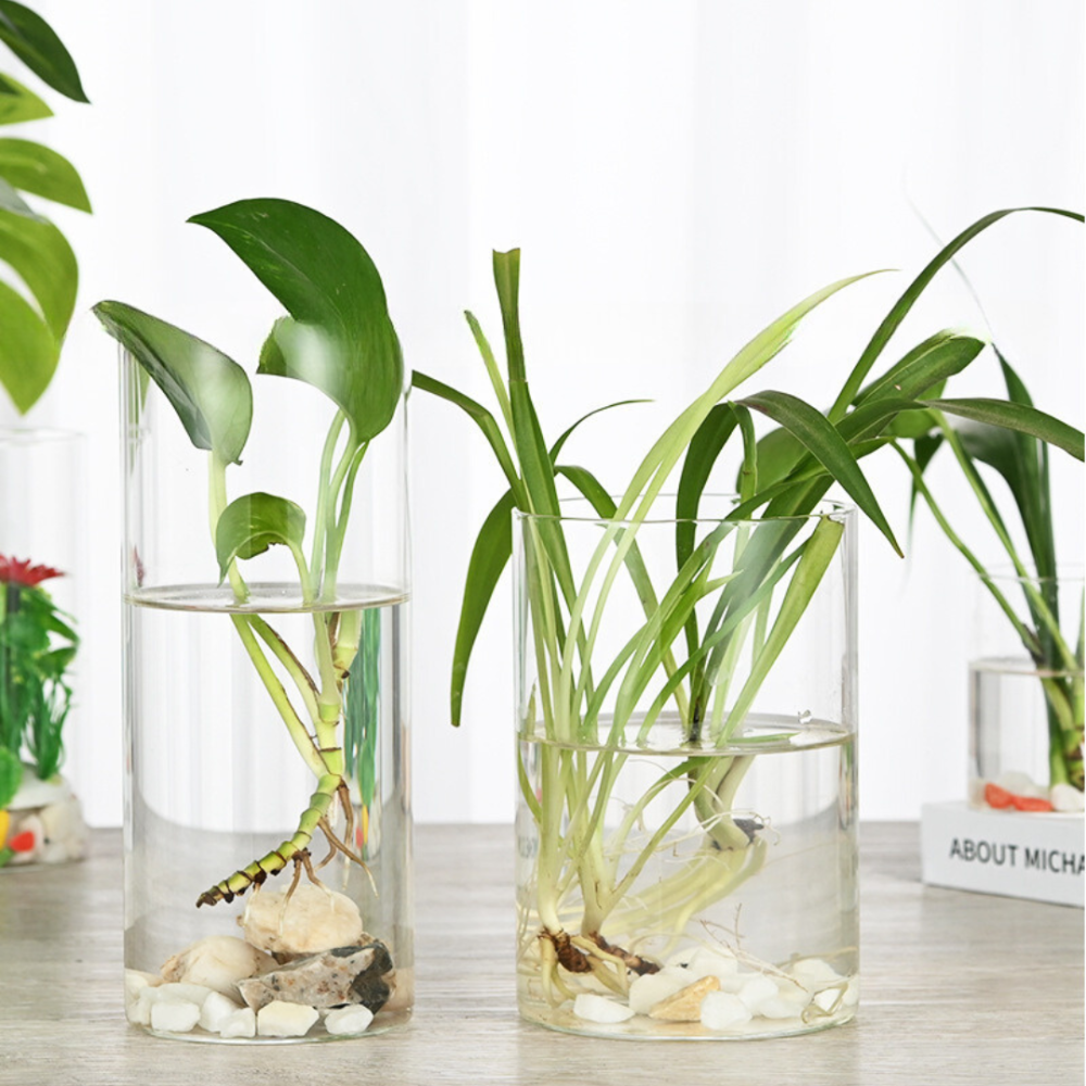 Стеклянная ёмкость для флорариума, моссариума, микропейзажа, интерьерных композиций с подсветкой Одесса - изображение 3