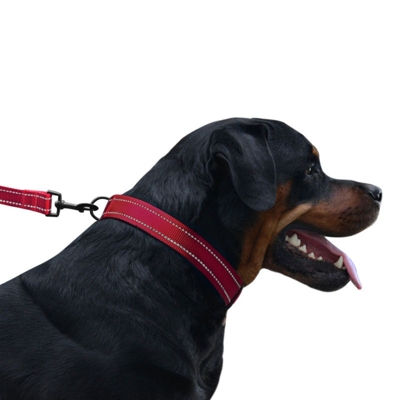 Нашийник для собак нейлоновий світловідбивний BronzeDog Active з пластиковою пряжею (фастекс) червоний L Одеса - фото 2