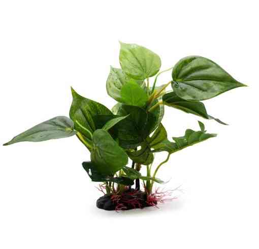 Растение искусственное в аквариум 22 см зеленый Киев