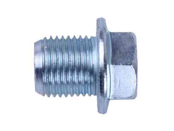 Болт слива масла - мотоблок 192F/195F/1100F Мукачево