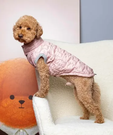 Жилетка для собак м'яка тепла плащівка на синтепоні Dogs Bomba весна на кнопках Ведмедики рожева 3 Одеса