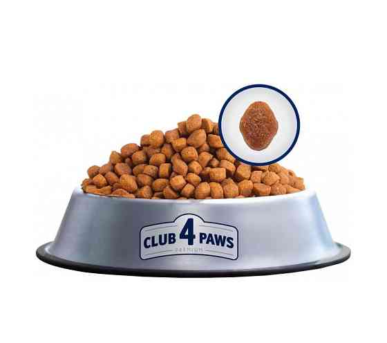 Сухий корм для дорослих кішок CLUB 4 PAWS (Клуб 4 Лапи) Преміум для кішок, що живуть в приміщенні 4в1 (курка), 14 кг Вінниця