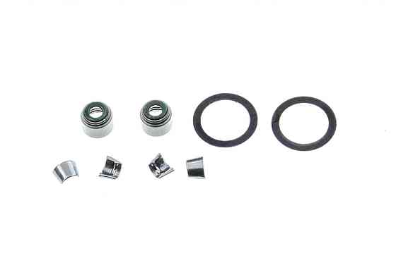 Сальники клапанов (пара) мопед Дельта Мукачево