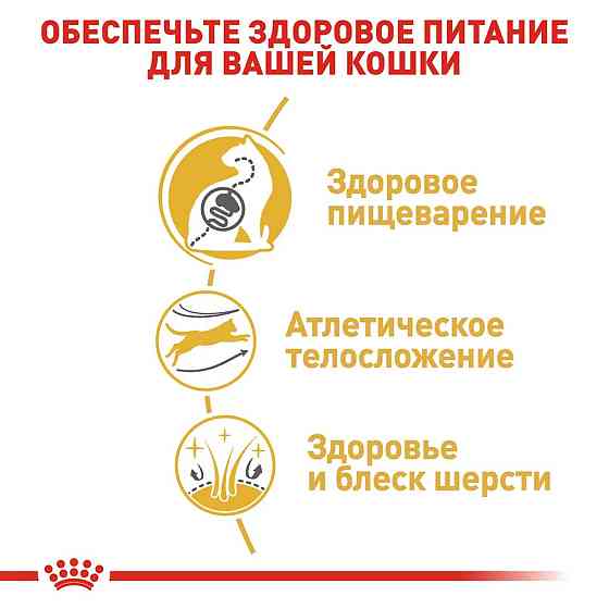 Роуал Canin Bengal Adult (Рояв Канін Бенгал) сухий корм для котів бенгальська від 12 місяців 2 кг. Запоріжжя