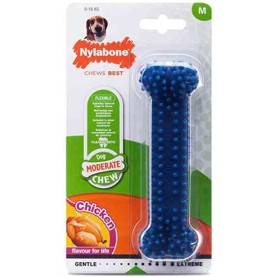 Nylabone Moderate Chew Dental Bone НІЛАБОН ДЕНТАЛ БОУН жувальна іграшка для собак, смак курки Київ