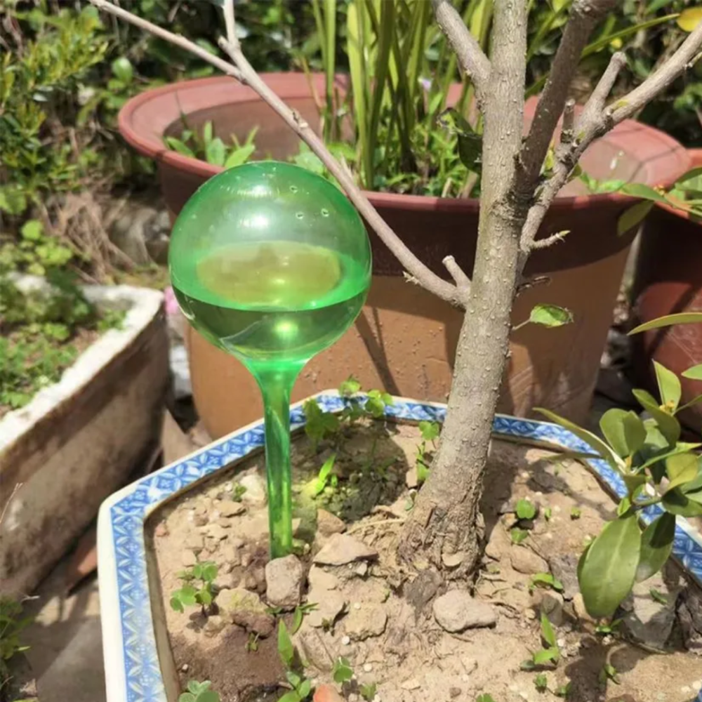 Колба для автоматического полива | Вазон в виде шара для сада, 4шт, капельный полив для растений, зеленый Каменец-Подольский - изображение 3