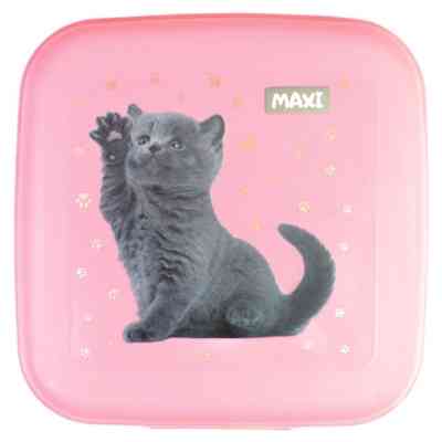 Ланч-бокс детский Maxi 850 мл (MX98138) Винница