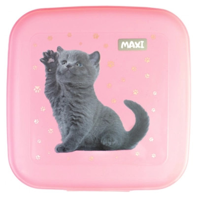 Ланч-бокс детский Maxi 850 мл (MX98138) Винница - изображение 1