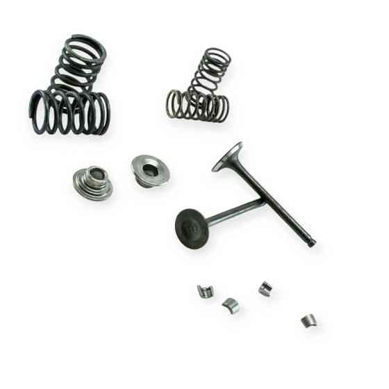 Клапана в зборі мопеда Дельта -110 (65 мм) Мукачево